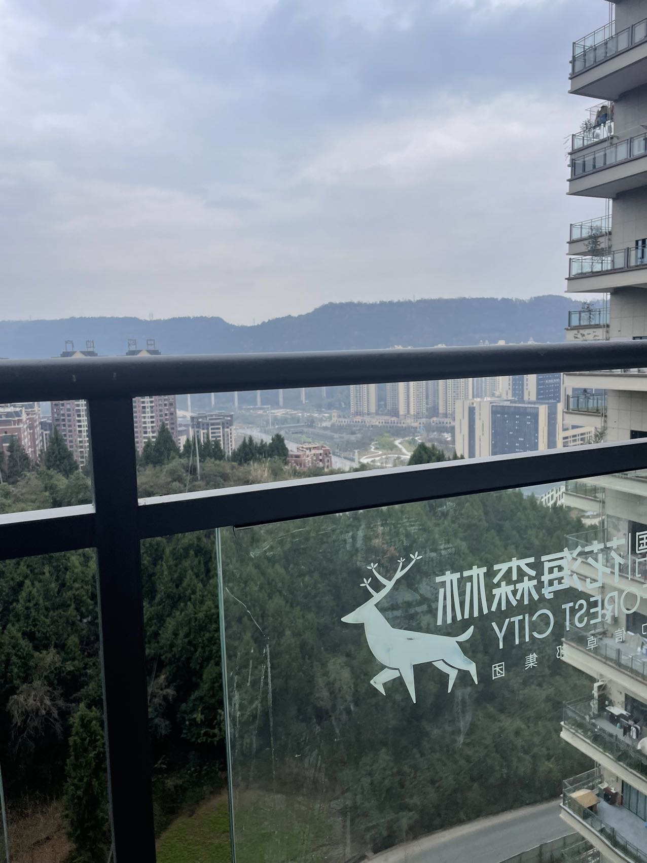 花海森林，3室2厅2卫，91.92㎡，毛坯，售价48万 二手房