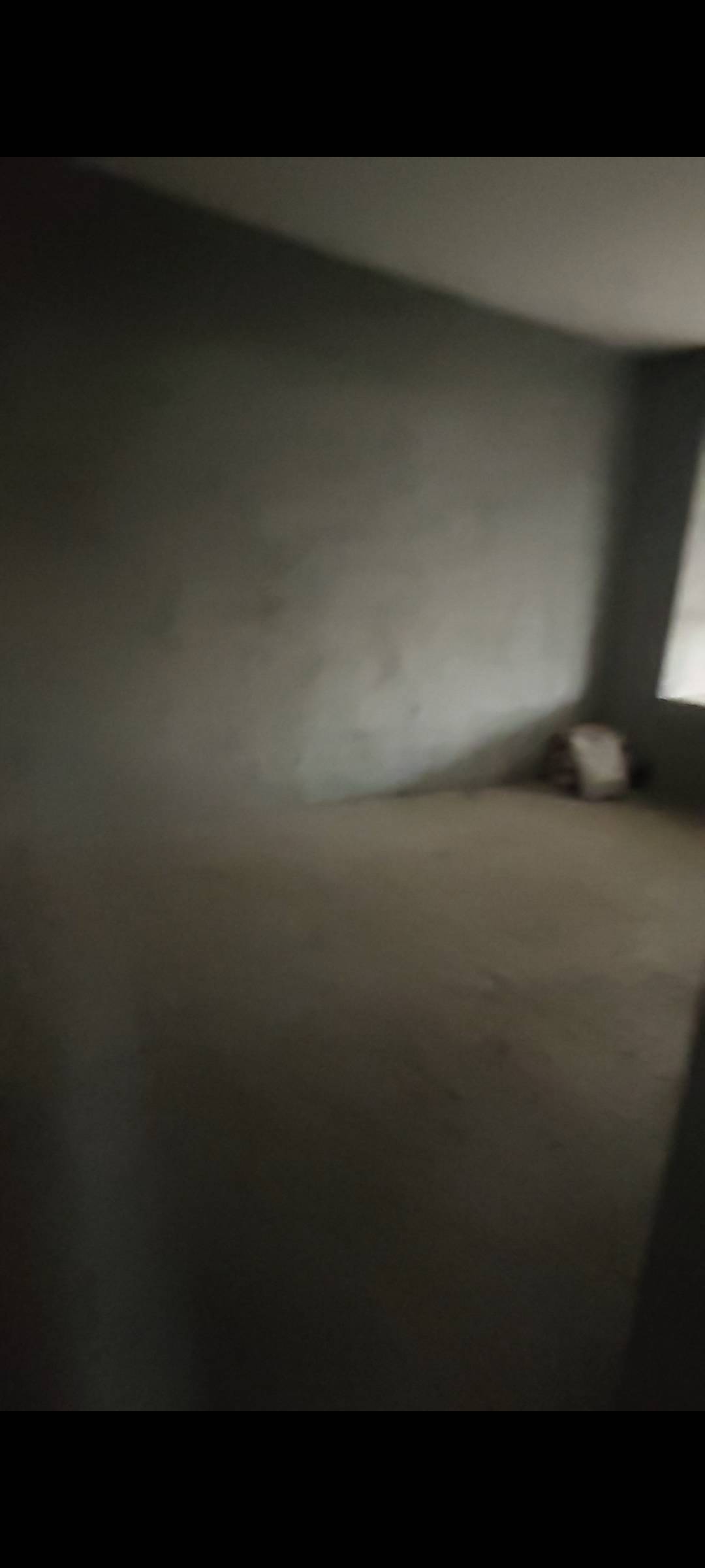 花海森林，4室2厅2卫，115㎡，毛坯，售价62万 二手房